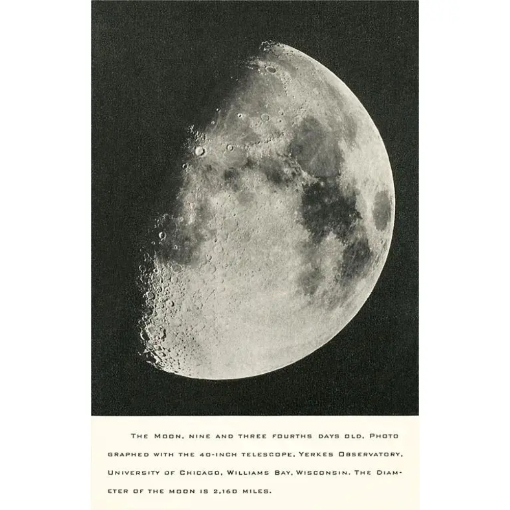 Gibbous Moon Magnet