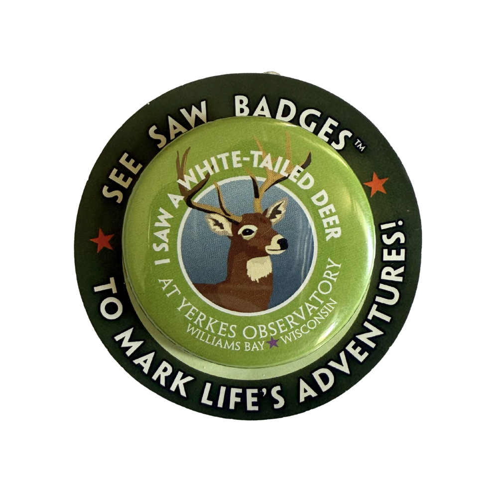 Adventure Badges (Set of 3)