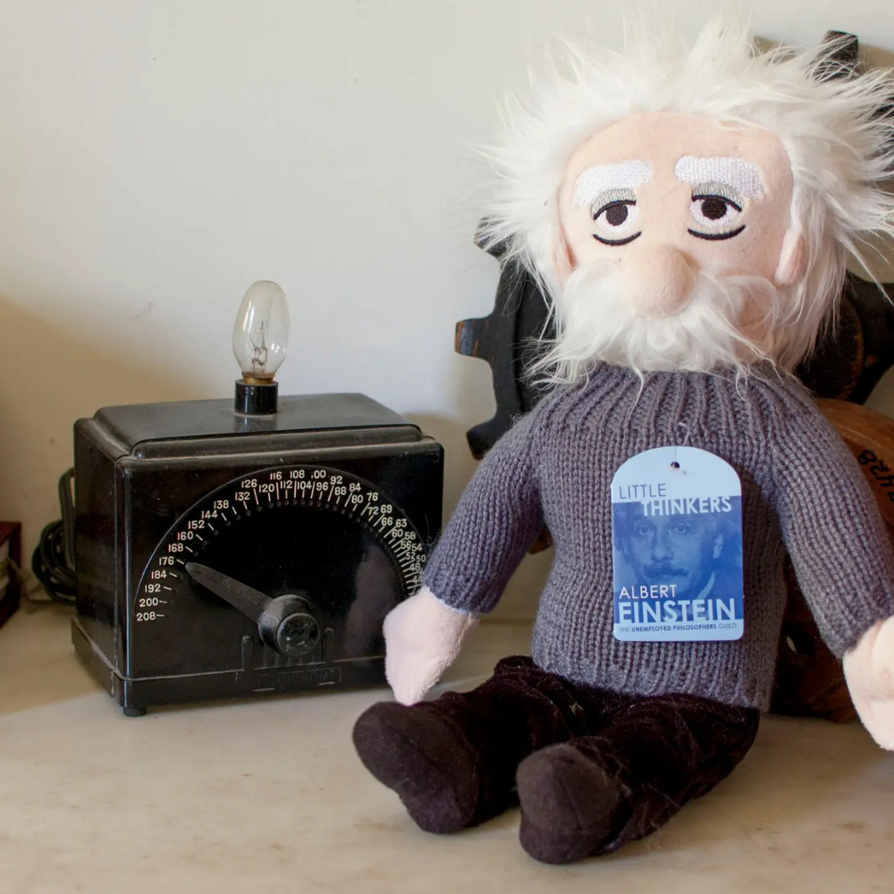 Albert Einstein Little Thinker Plush