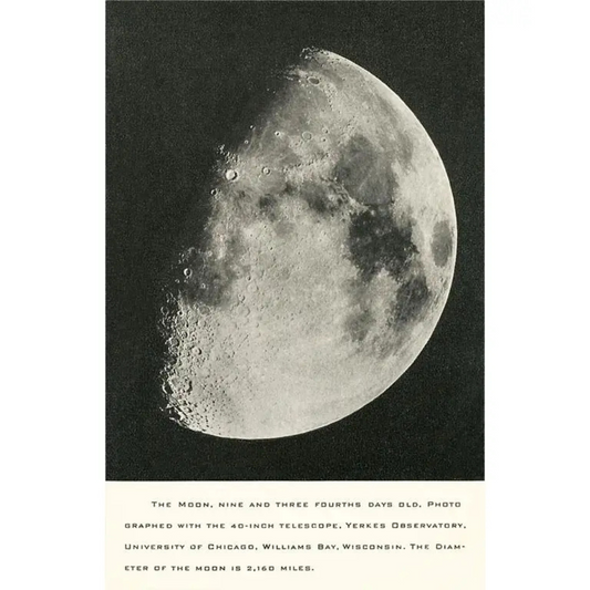 Gibbous Moon Magnet